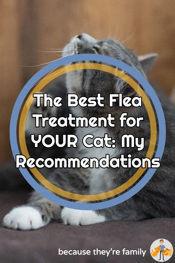 the best flea treatment for cats - veterinary recommendations