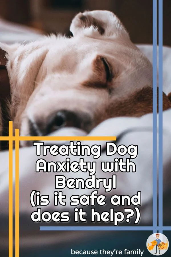 Treating Dog Anxiety with Benadryl (is it safe and does it help?) — Our ...