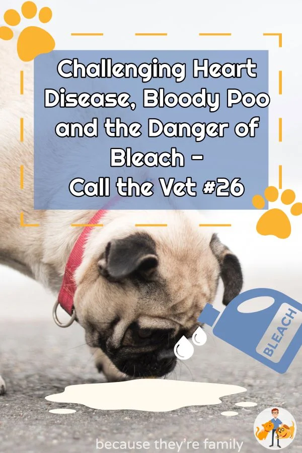 bleach poisoning, heart failure and bloody stools in episode 26 of the call the vet podcast