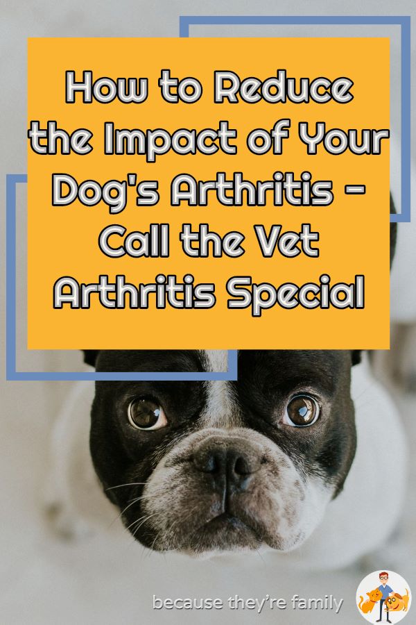 reduce the impact of your dog’s arthritis - call the vet podcast special