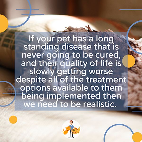 If your pet has a long term illness and they are getting worse then euthanasia may be the kindest option