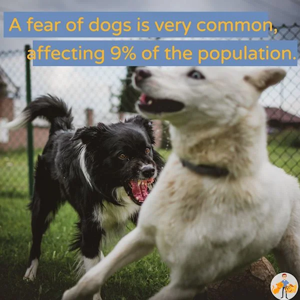 a fear of dogs affects 9% of people