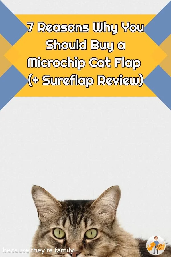 7 Reasons Why You Should Buy a Microchip Cat Flap (+ Sureflap Review