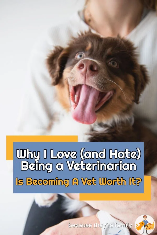 Why I Love (and hate) Being a Veterinarian is a vet worth it