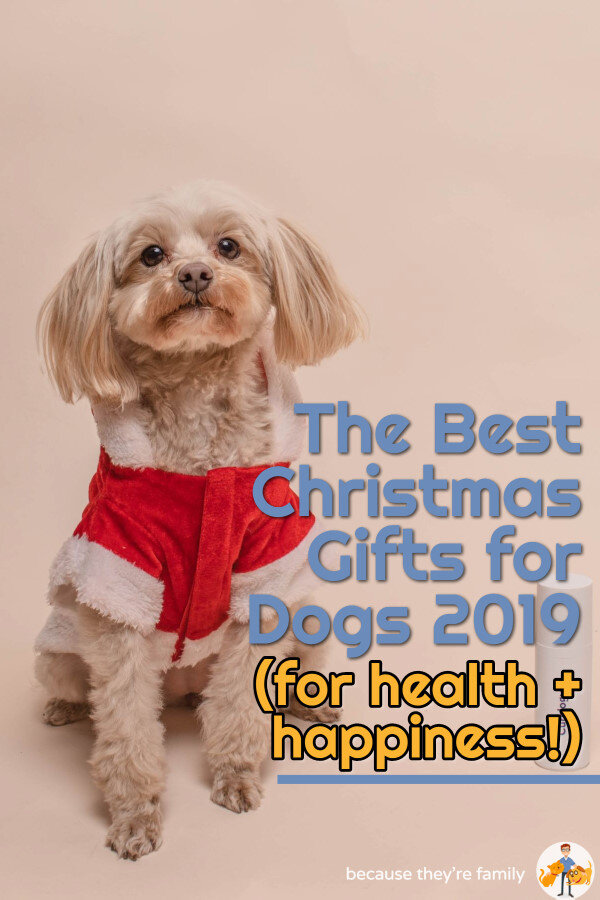 https://images.squarespace-cdn.com/content/v1/595cb08e099c0165c82b5ec2/1573629542781-JFOEUBOHZE9V7XXZWT62/The+Best+Christmas+Gifts+for+Dogs+2019blog.jpg