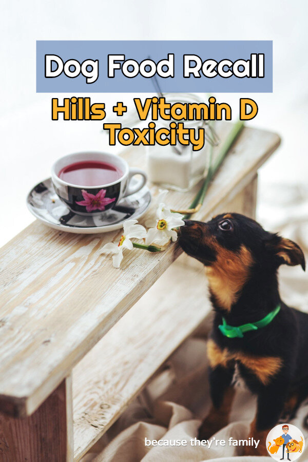 high vitamin d in dog food