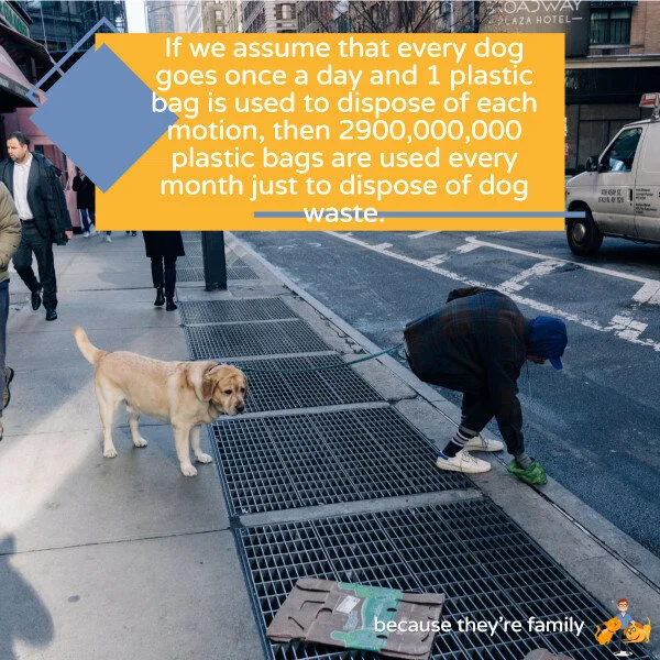 A Mountain of Waste Green Dog Poop Disposal — Our Pet's Health