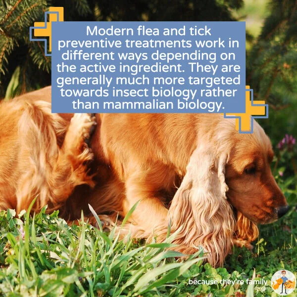 How Do Flea Treatments Work (and are they safe)? — Our Pet's Health