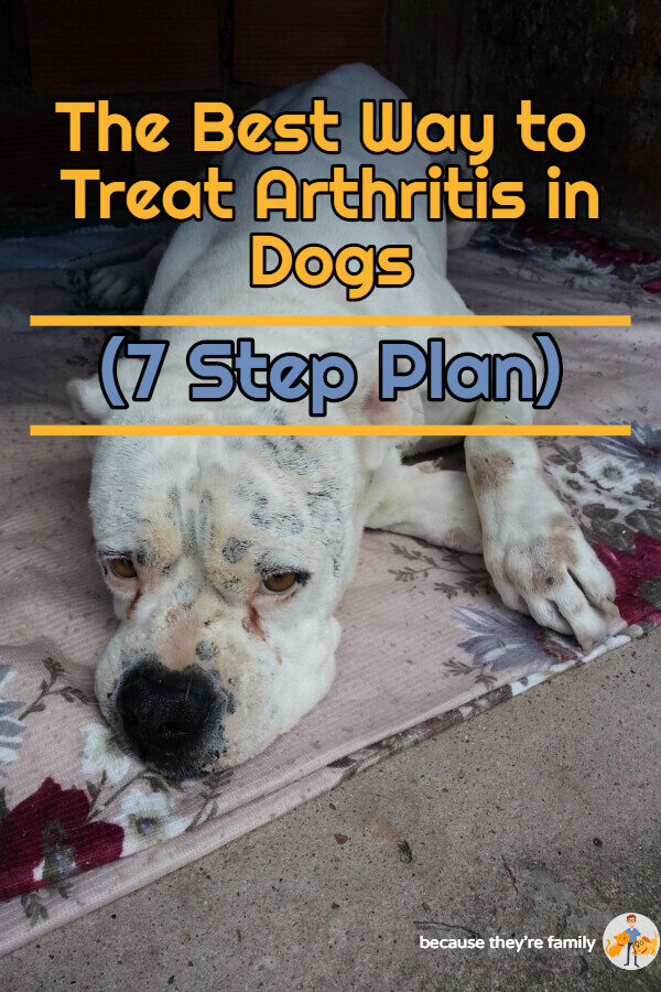 The Best Way to Treat Arthritis in Dogs (7 Step Plan) — Our Pets Health