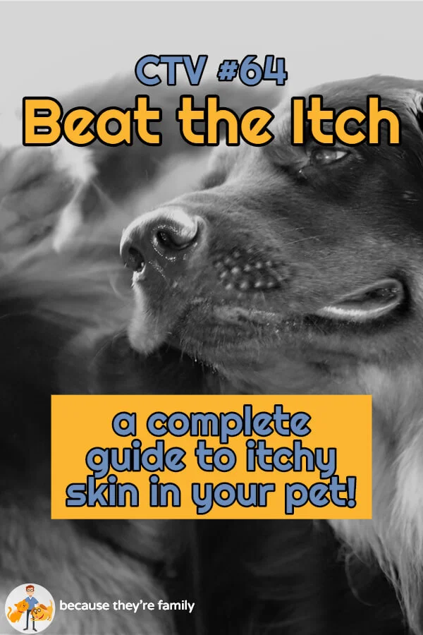 Beat the Itch a complete guide to itchy skin in your pet! — Our Pet's
