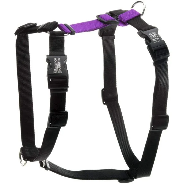 Dog Arthritis Accessories — Our Pet's Health