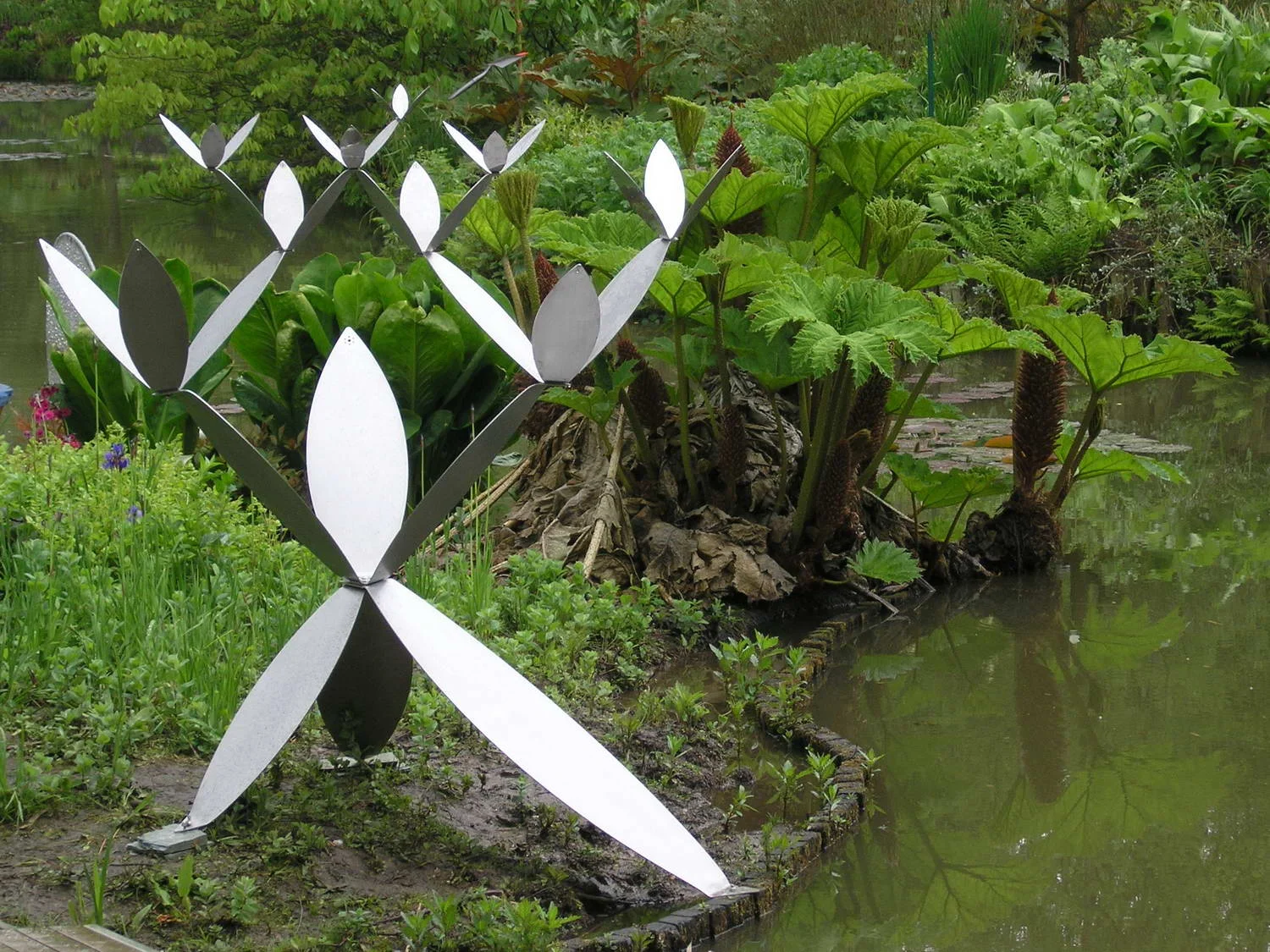 florescence2.jpg