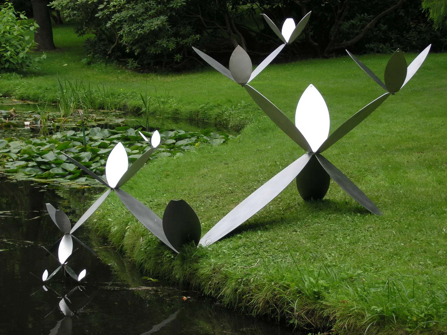 florescence3.JPG