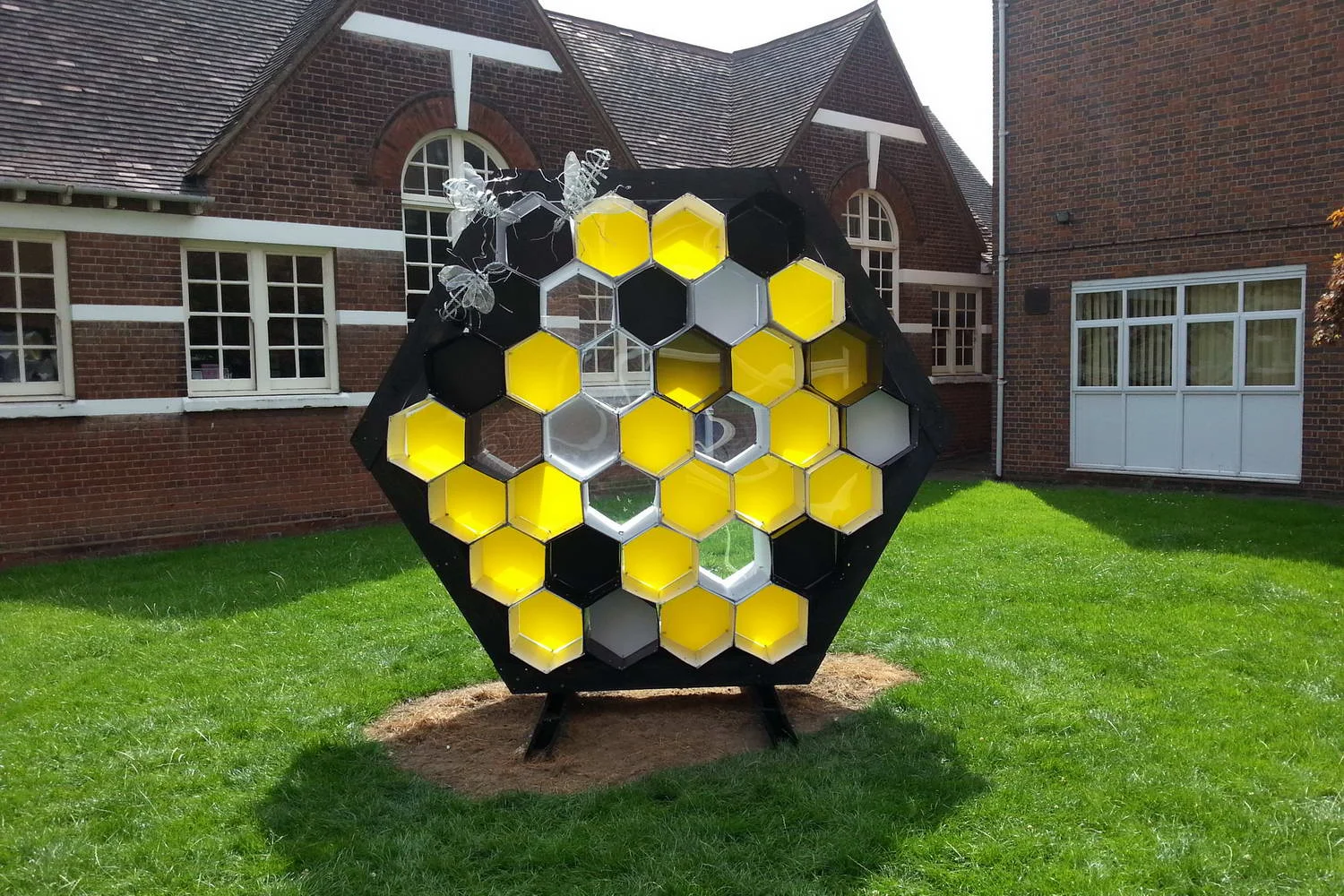 bee106.jpg
