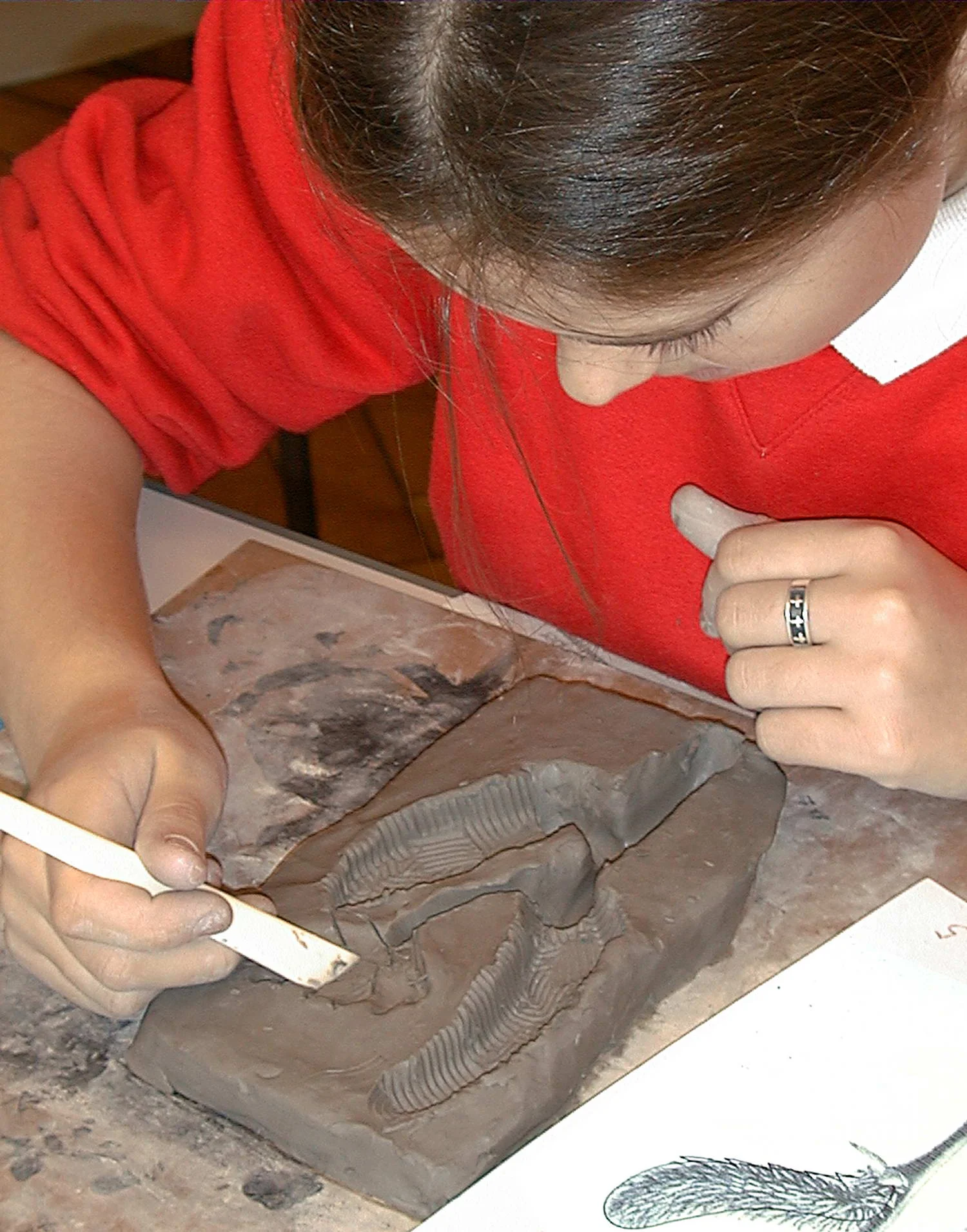 Primary Schools