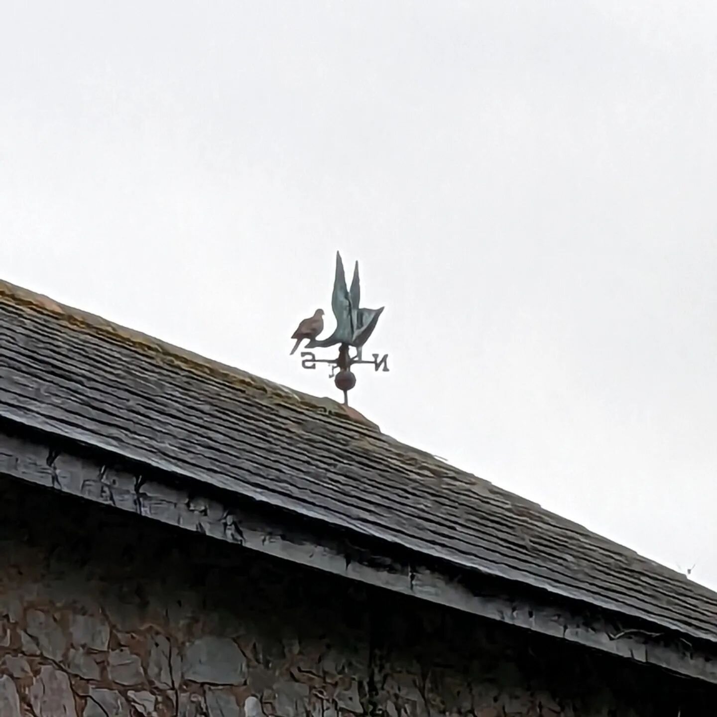 Bird on a weathervane.