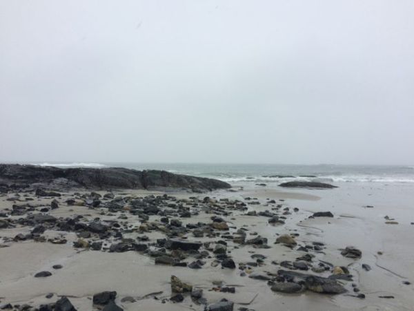Biddeford Pool, snowing