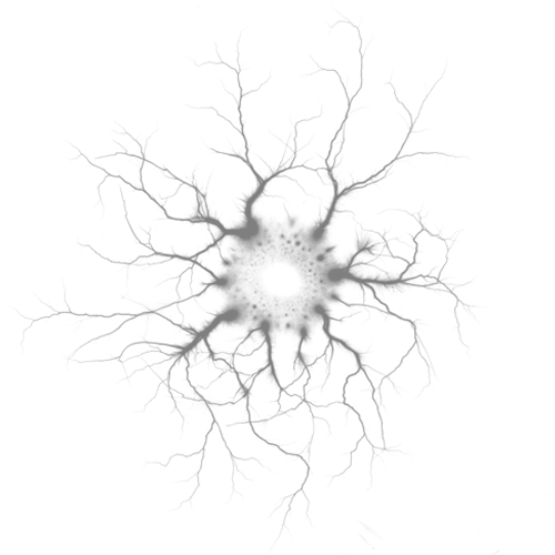 Sean OConnell_Grey.png