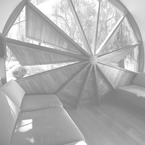 Anthill Construction_Grey.png