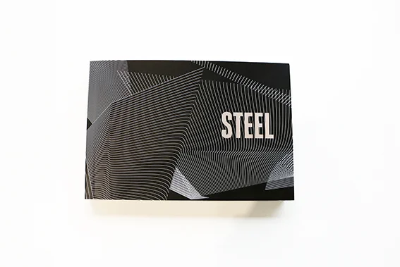 STEEL Booklet2.jpg