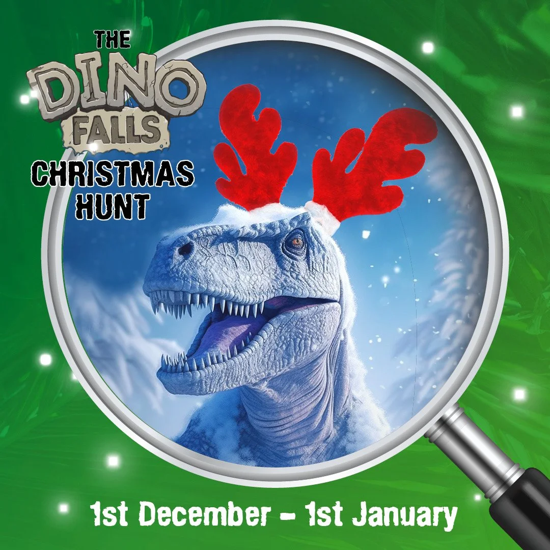 Christmas Hunt! 