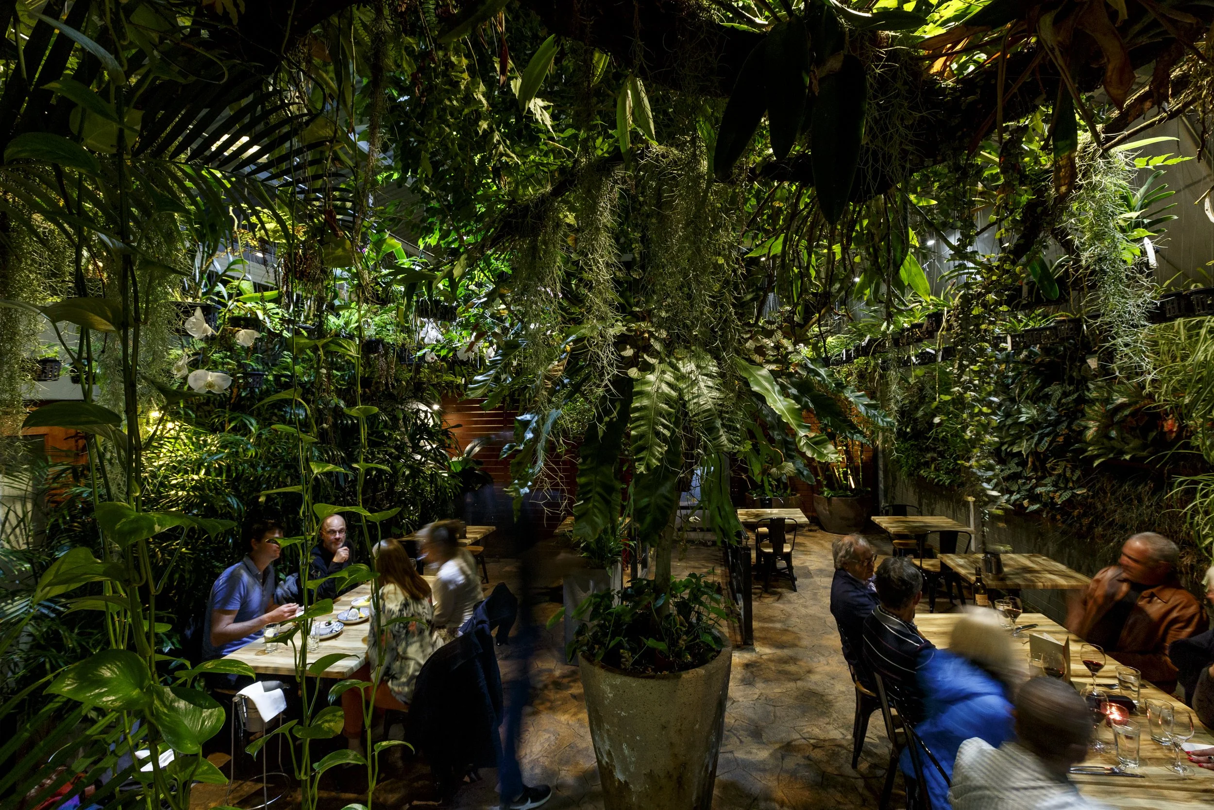 049 Itsara 181107 JWyld.jpg