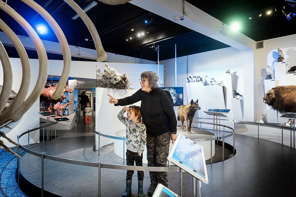 naturhistorisk-museum.jpg