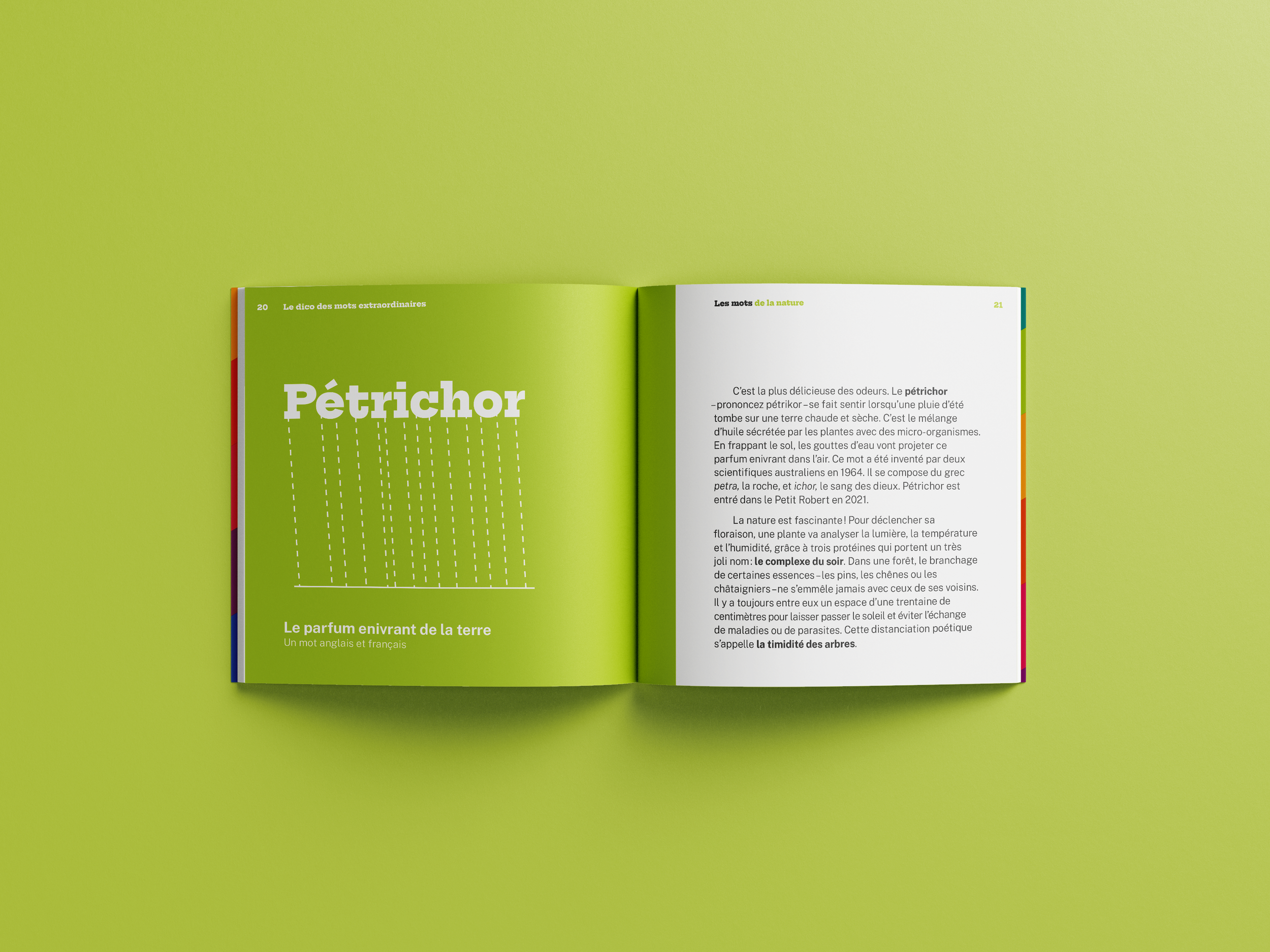 DicoBulletin-Internes-Petrichor.png