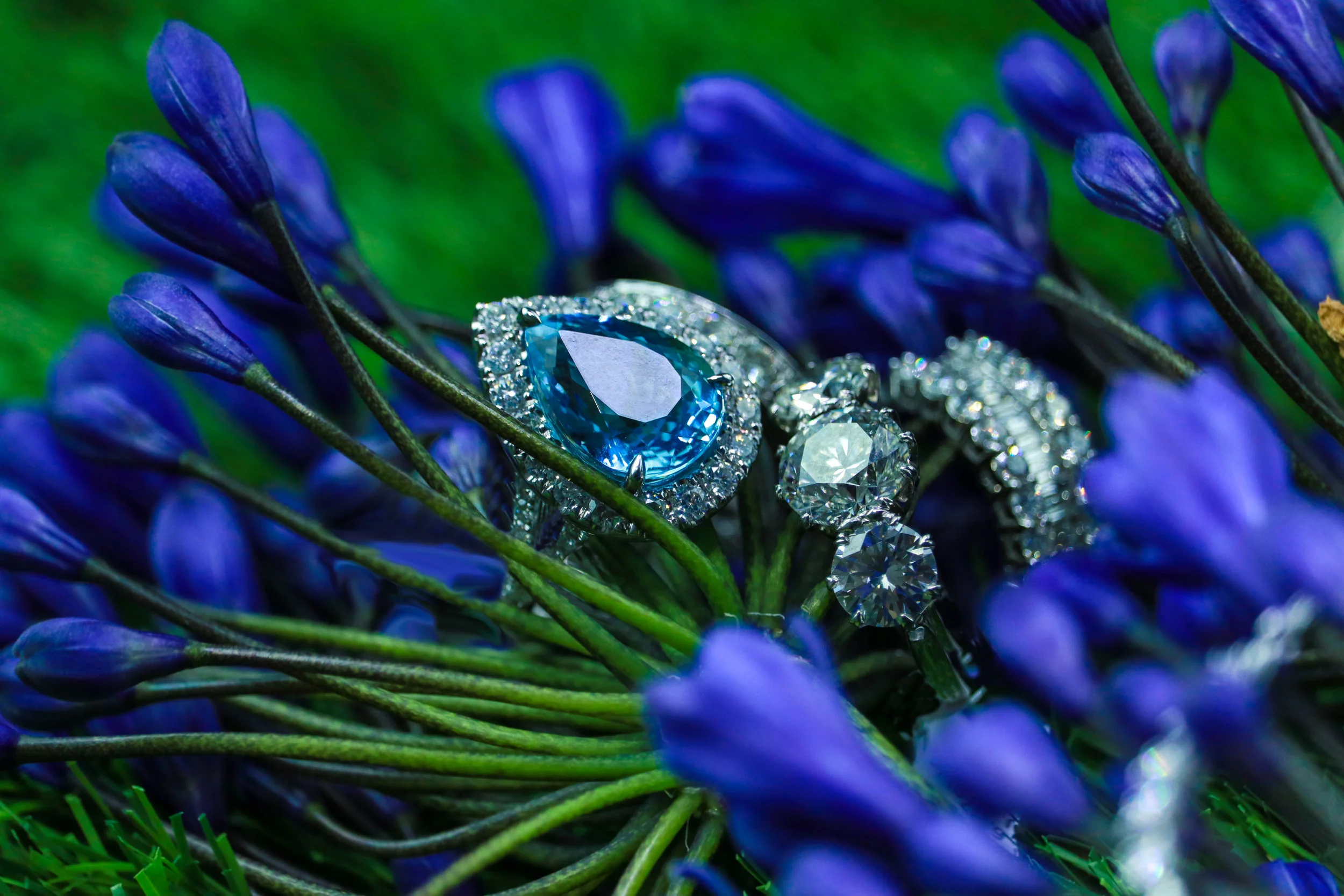 14th Thursday IMG_7910Blue Rings-1.jpg