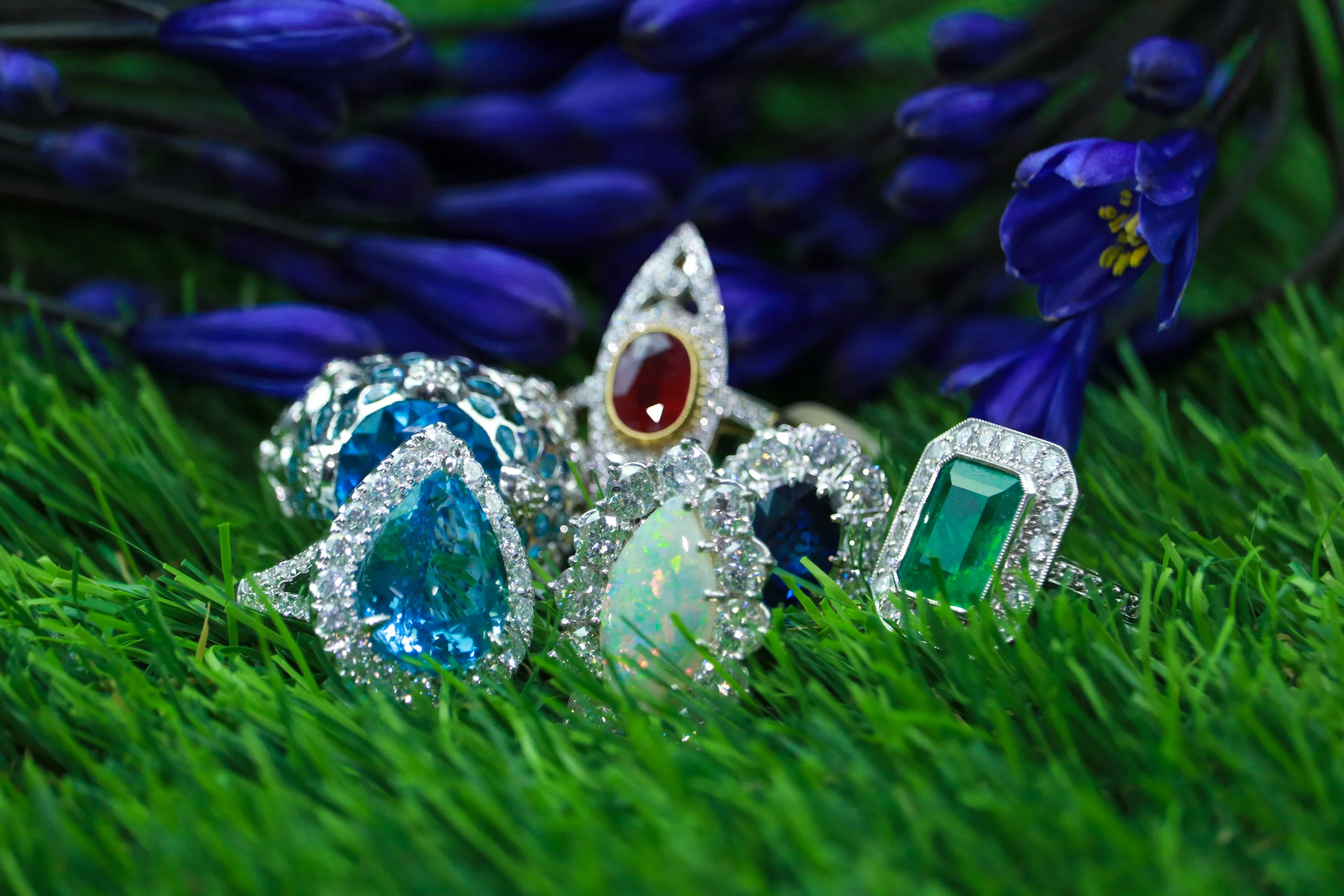 IMG_7858 Rings-1.jpg