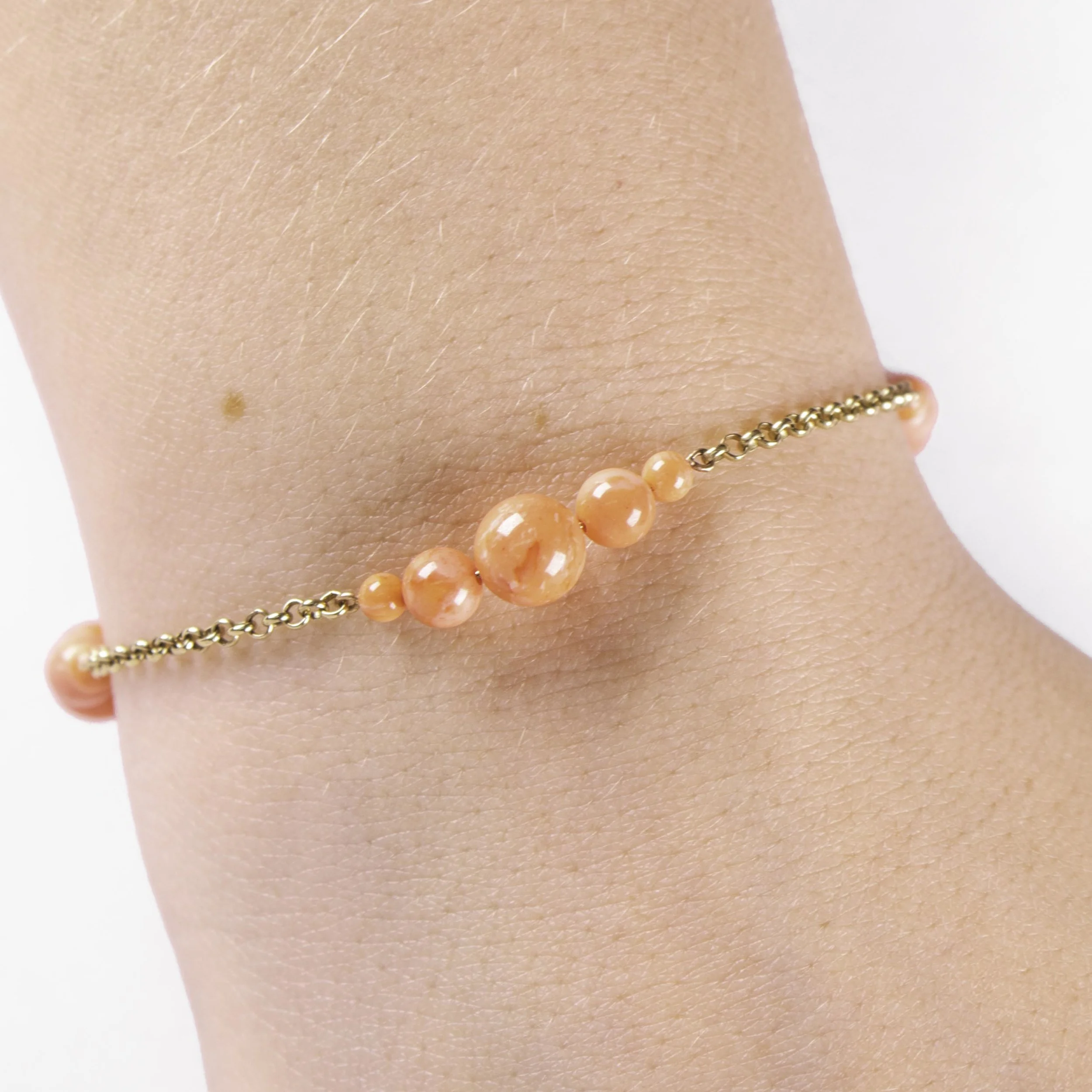 Rex-Etsy-1012162-Pic3.jpg