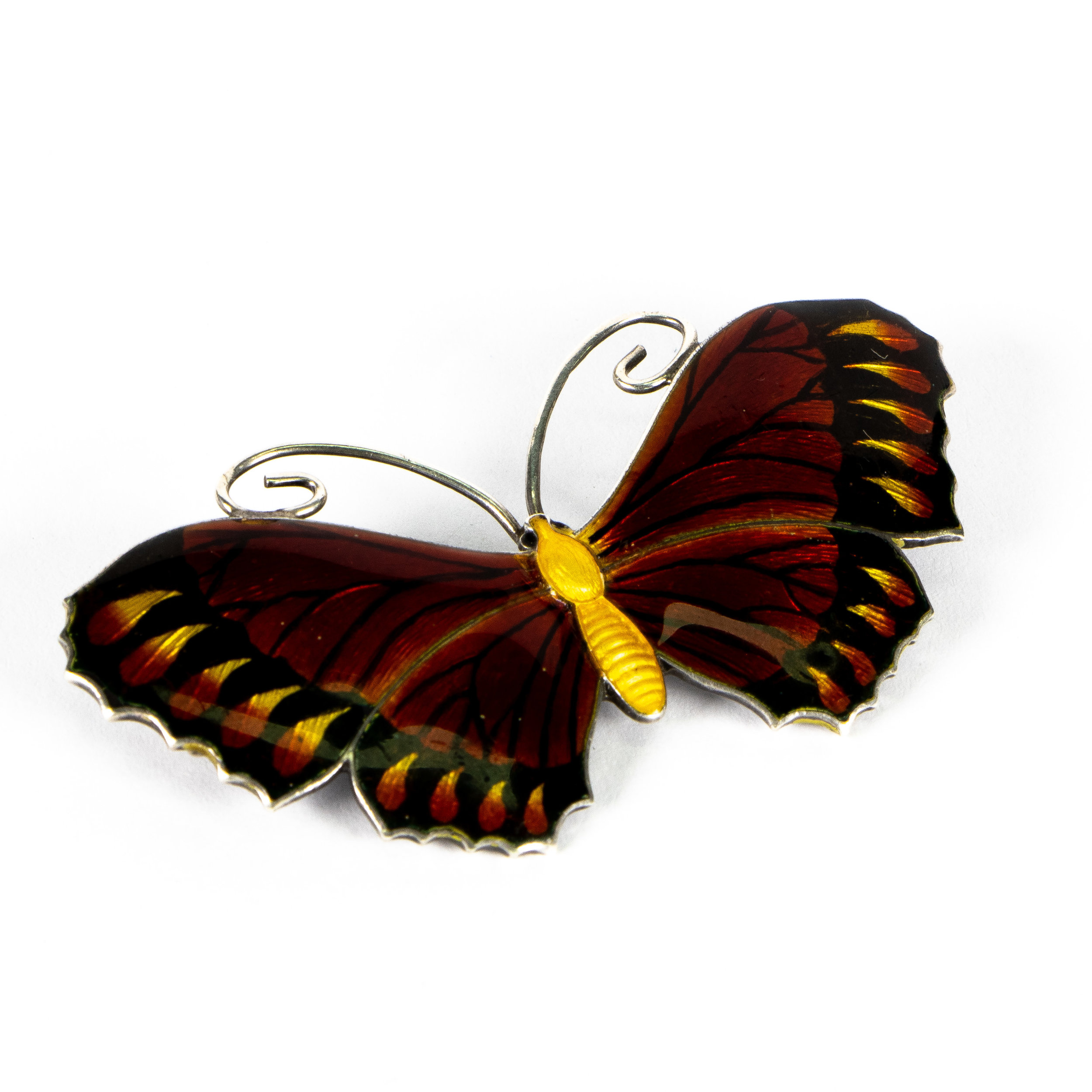 Rex-Etsy-6507040-Pic  2.jpg