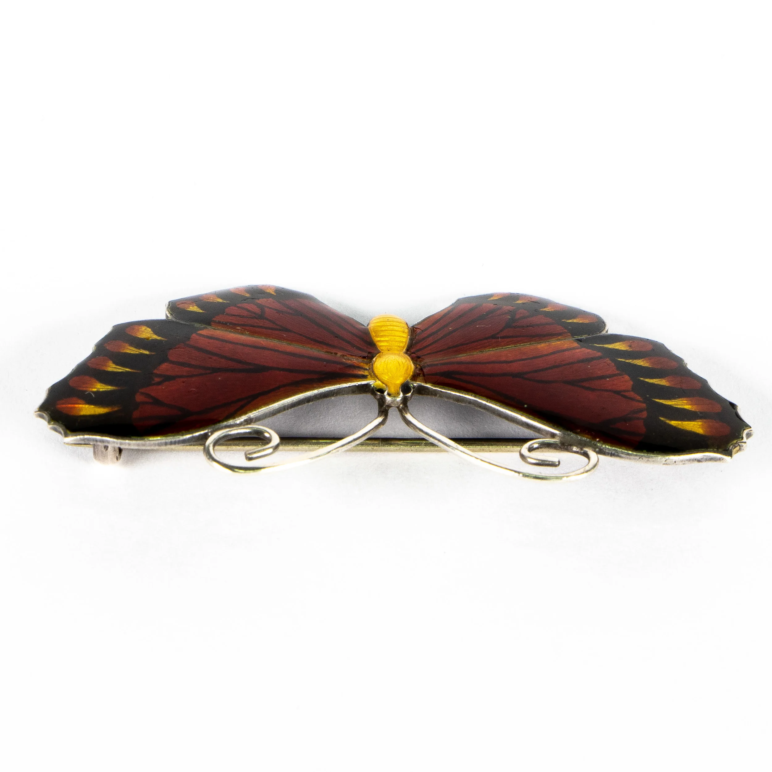 Rex-Etsy-6507040-Pic 4.jpg