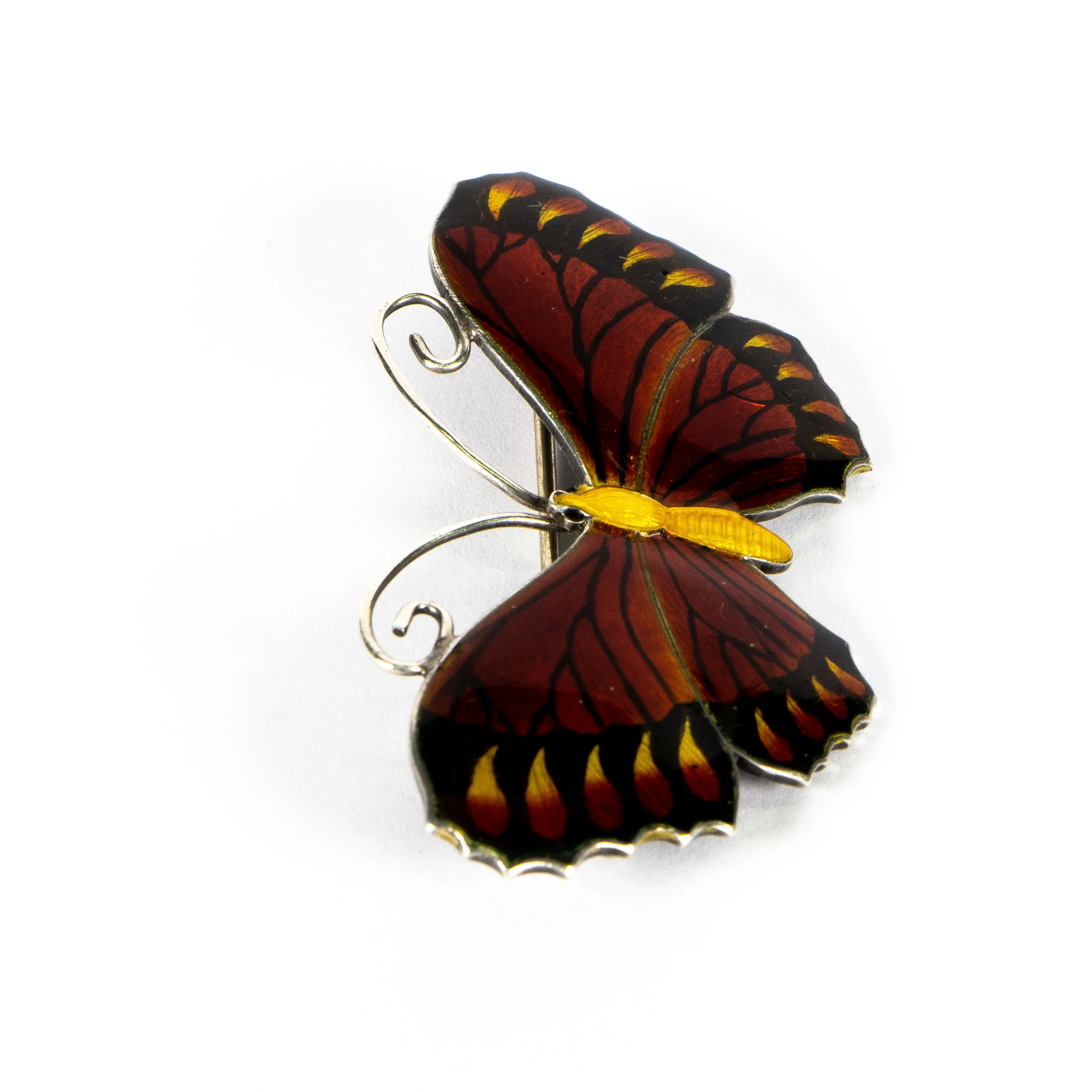 Rex-Etsy-6507040-Pic 3.jpg
