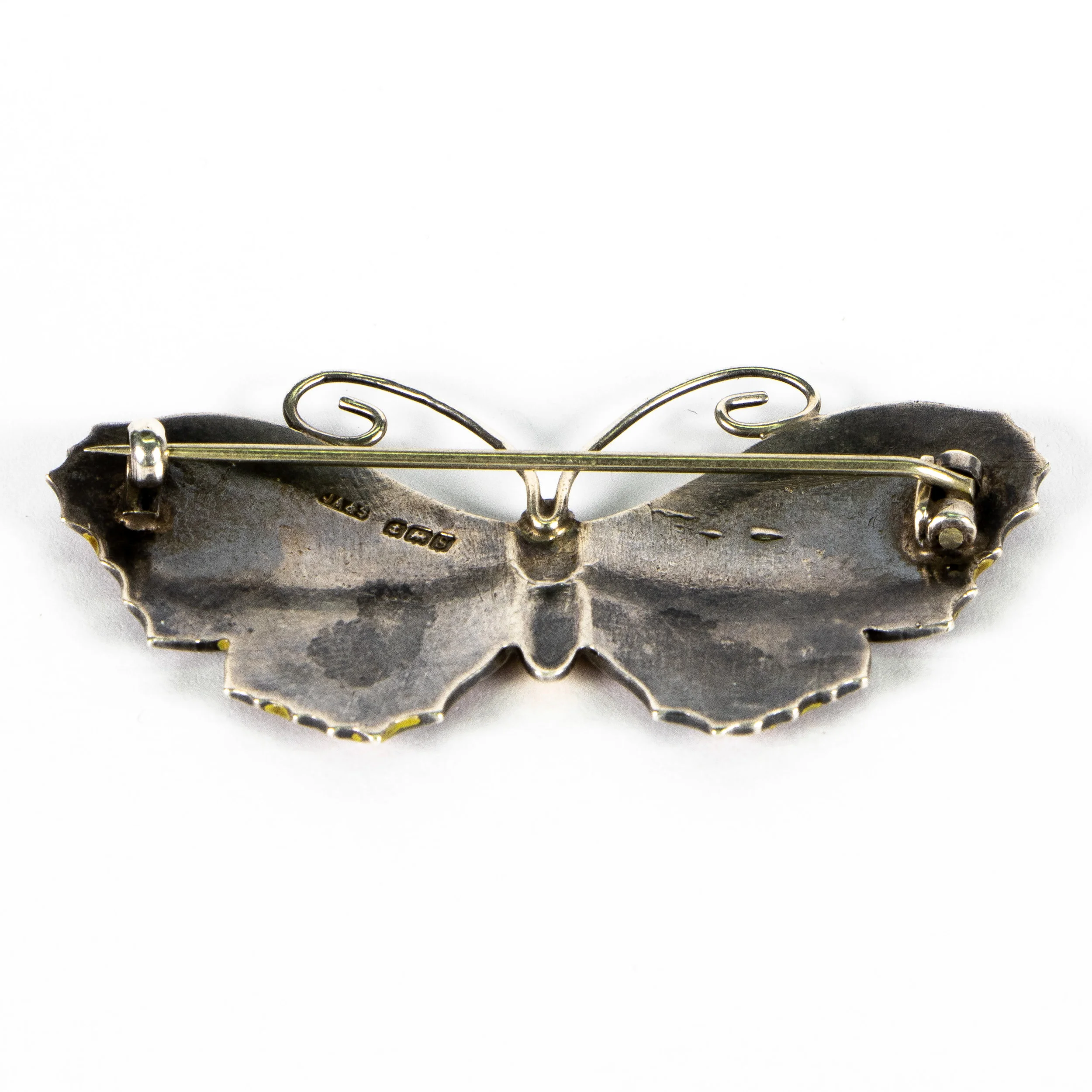 Rex-Etsy-6507040-Pic 5.jpg