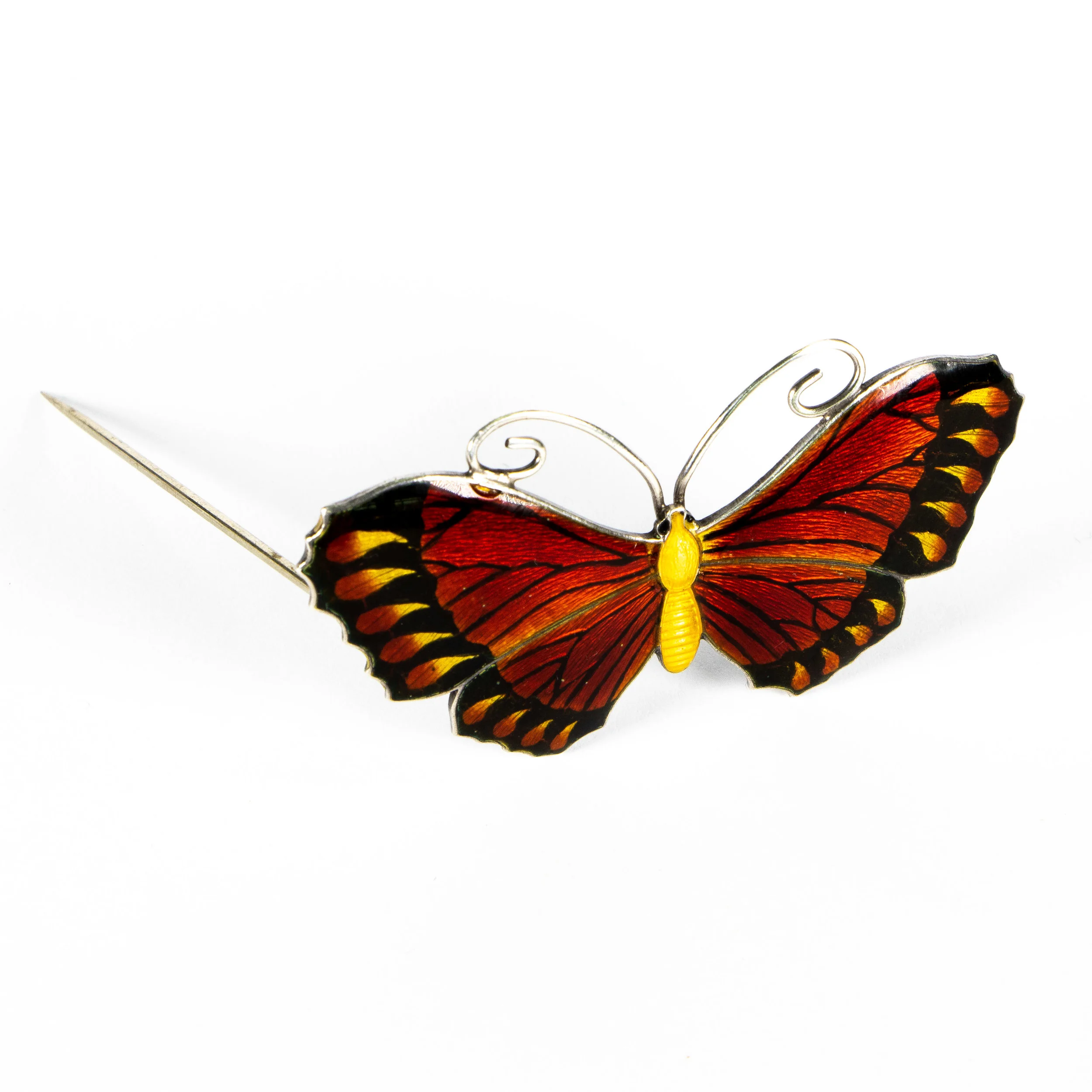Rex-Etsy-6507040-Pic 8.jpg