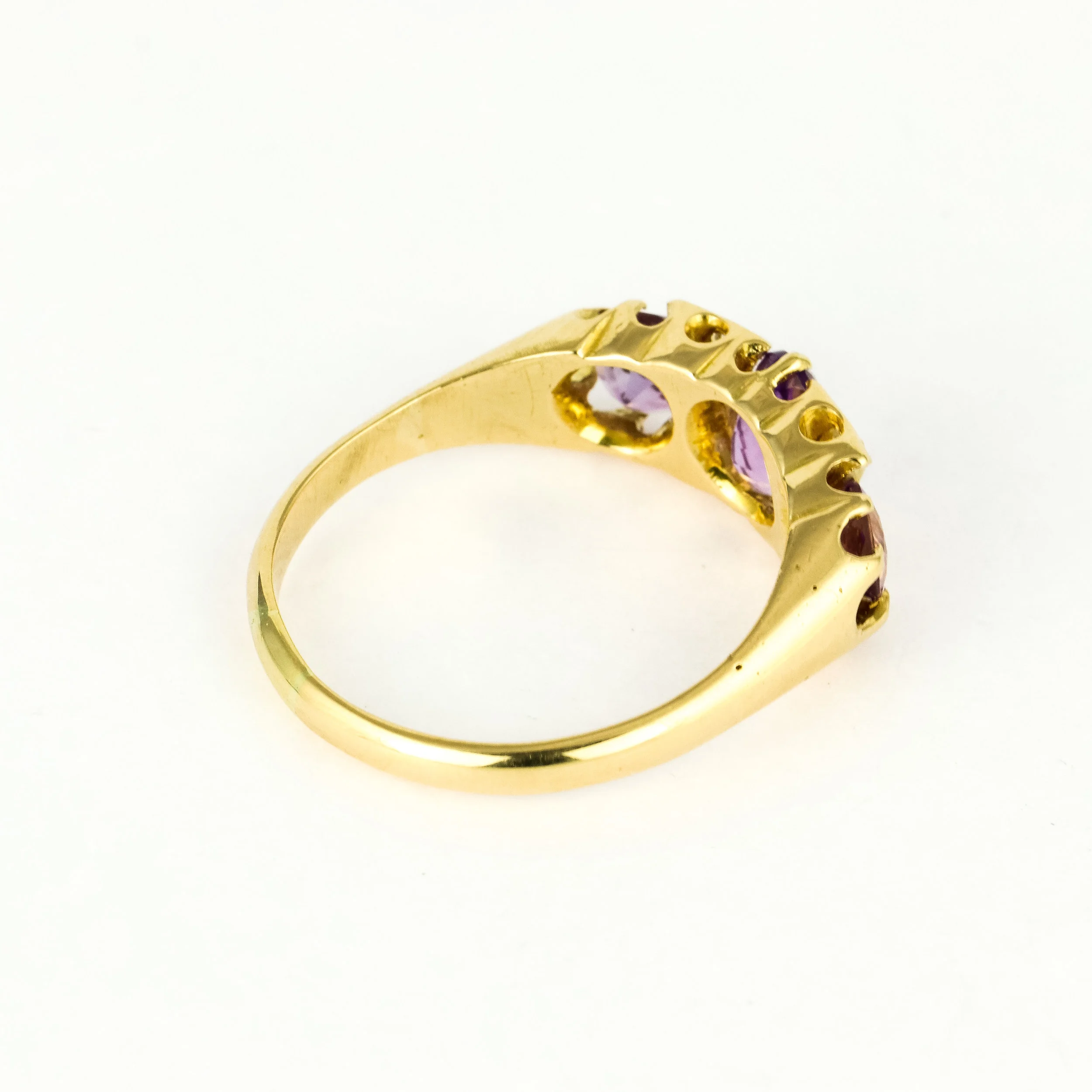 Rex-Etsy-5302267-Pic 5.jpg