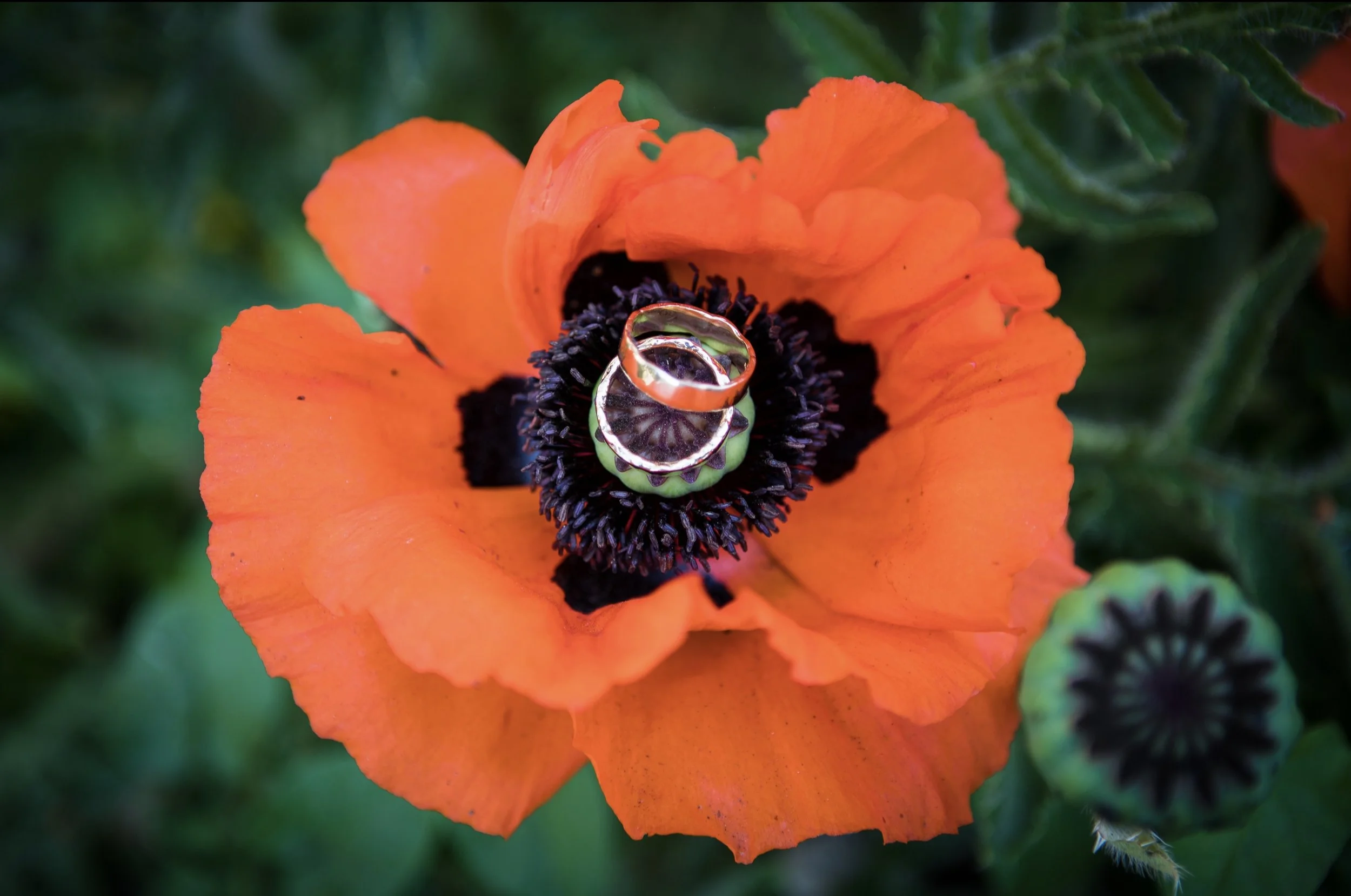 Little silver - Freeform Images wedding shoot