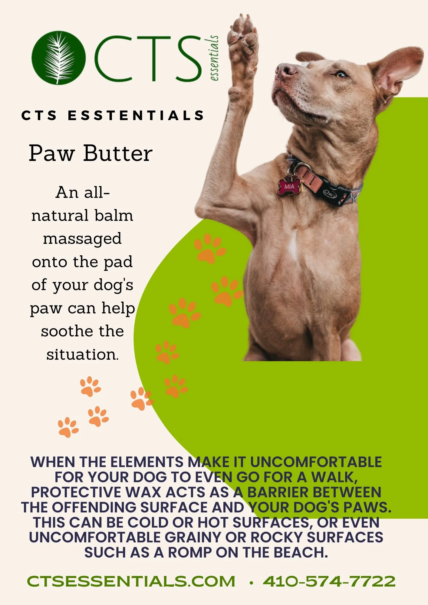 3531A933-A2FA-46D6-A795-1287D45B6A75