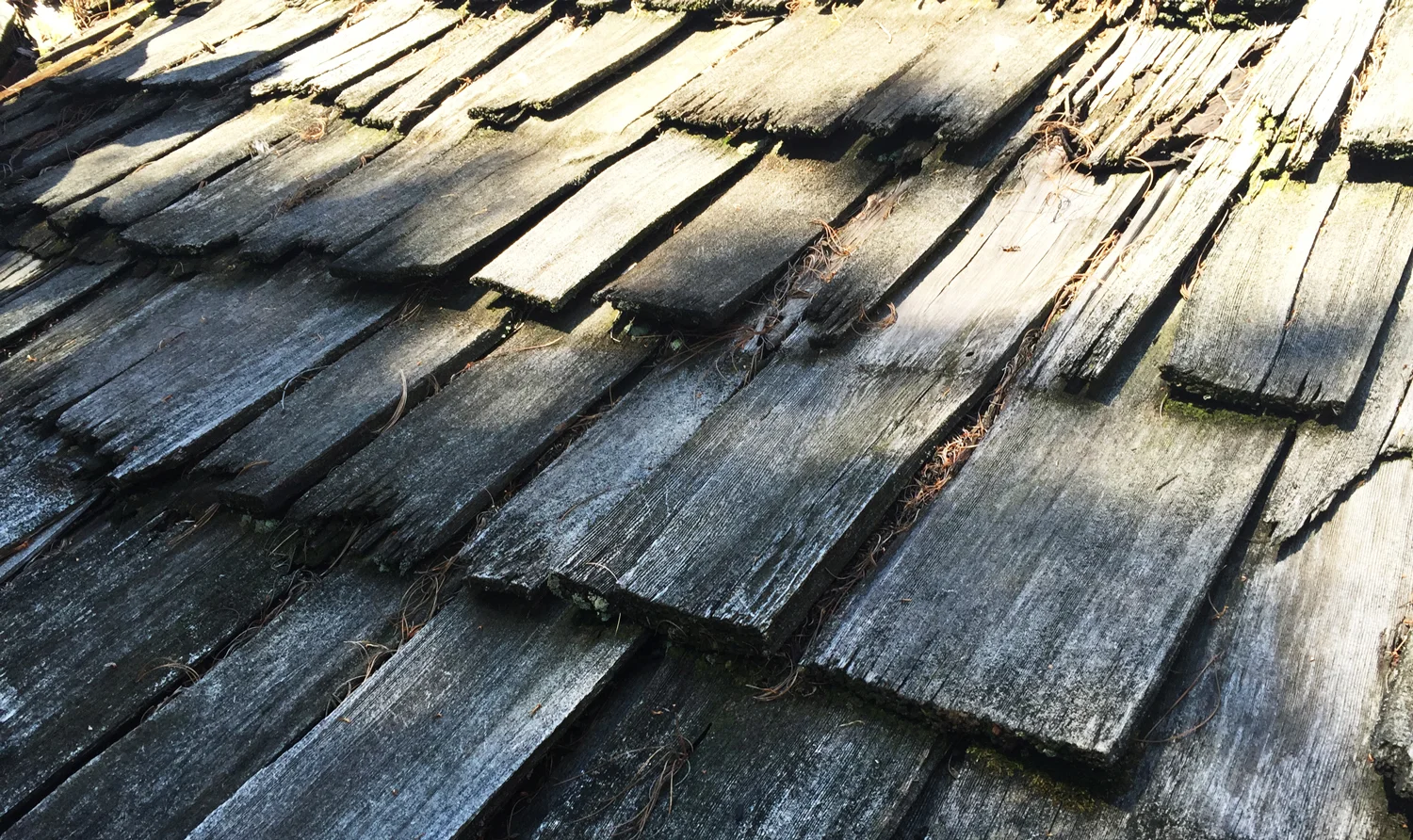 rotting-wood-shake-shingles.jpg