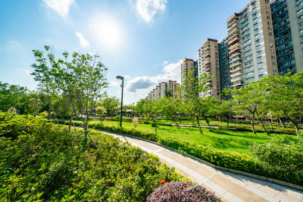 View of 10 Sustainable Design Ideas for a Small Living Space