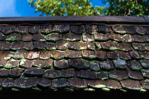 How to Remove Moss from Cedar Shakes