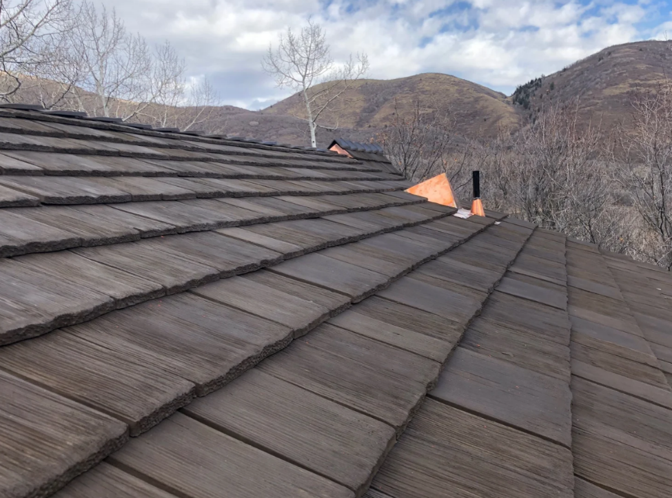 Close-up of a Walden roof with textured shake-style panels set against a mountain landscape.