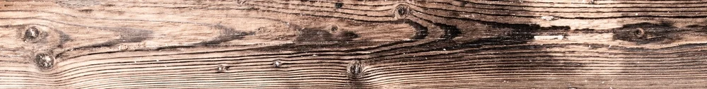 AdobeStock_173787236_Preview.jpeg