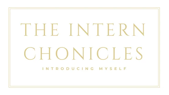 The Intern Chronicles: Introducing Myself