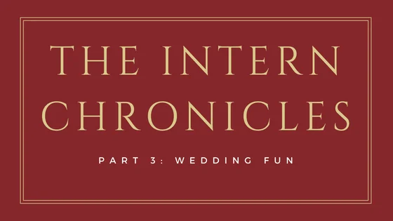 The Intern Chronicles Part 3: Wedding Fun 