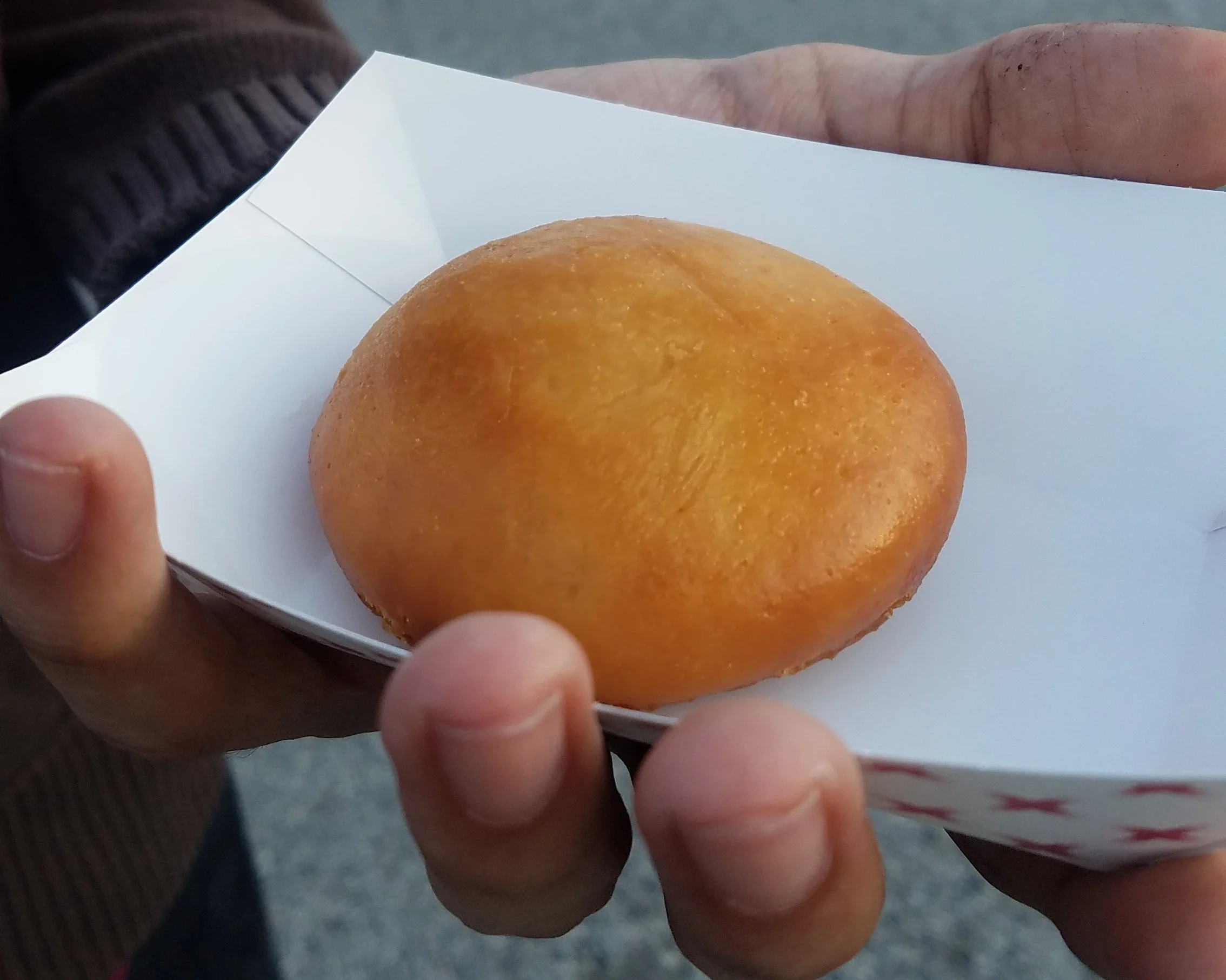 Deceptively good looking, but unfortunately disappointing: Cheddar Bacon Buns