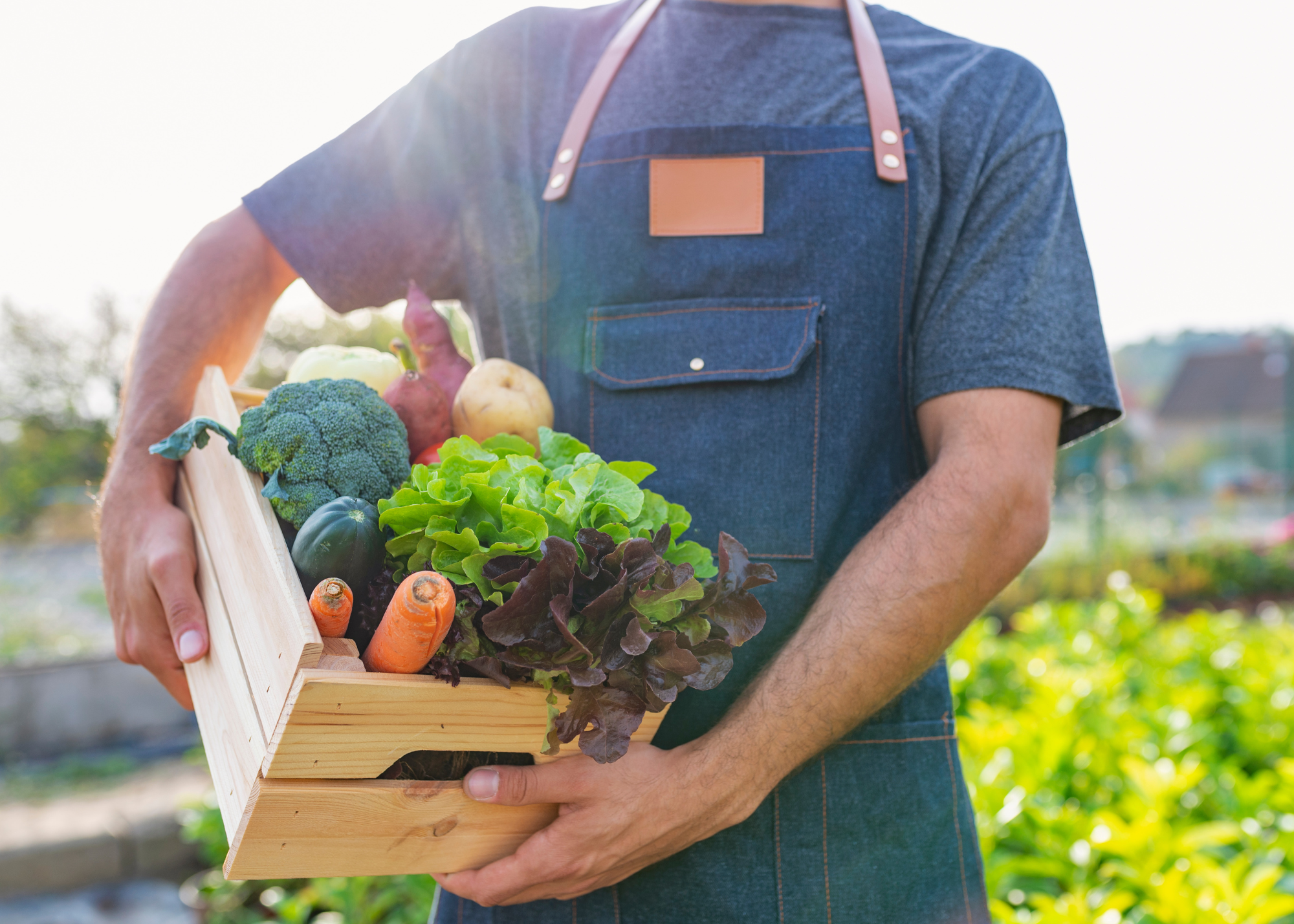 The Benefits of Seasonal and Locally Sourced Ingredients