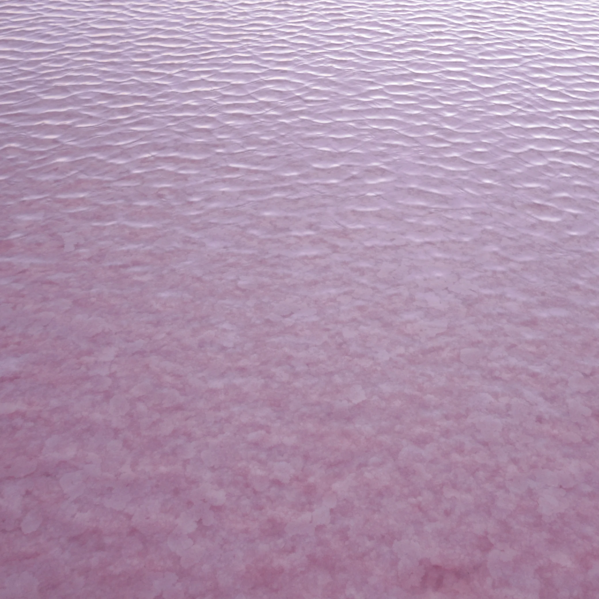 lake tyrrell - pink mirror.jpg