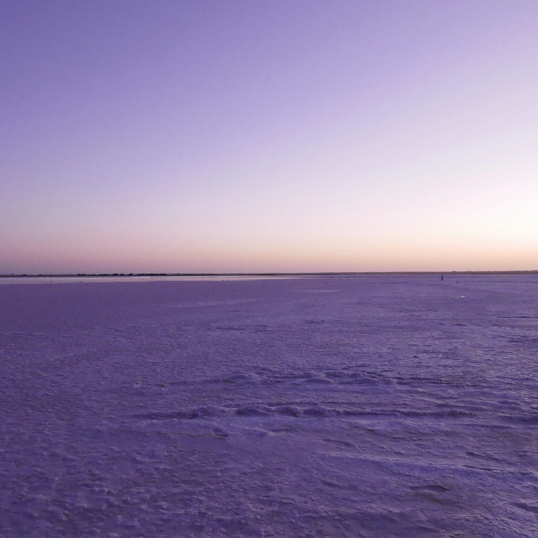 lake tyrrell - pink mirror.jpg